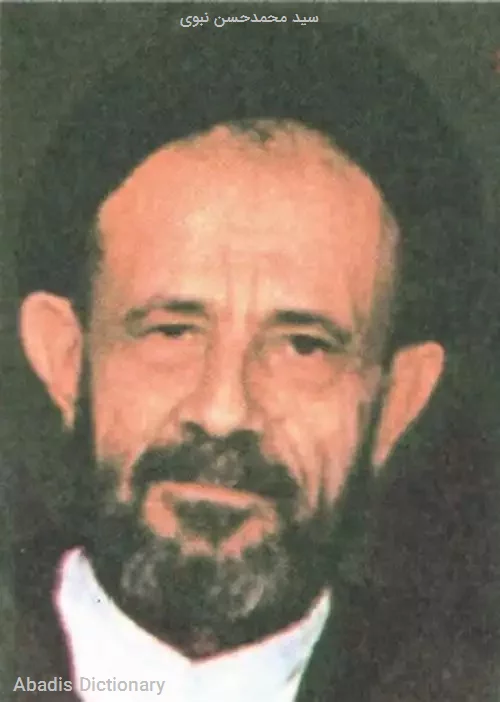 سید محمدحسن نبوی